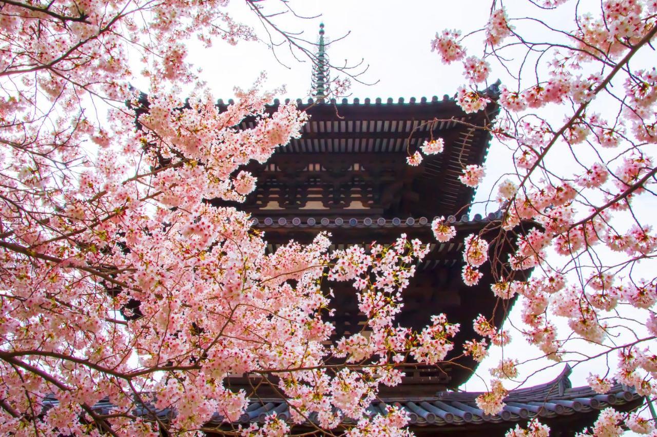 門前宿　和空法隆寺 4* 斑鳩町
